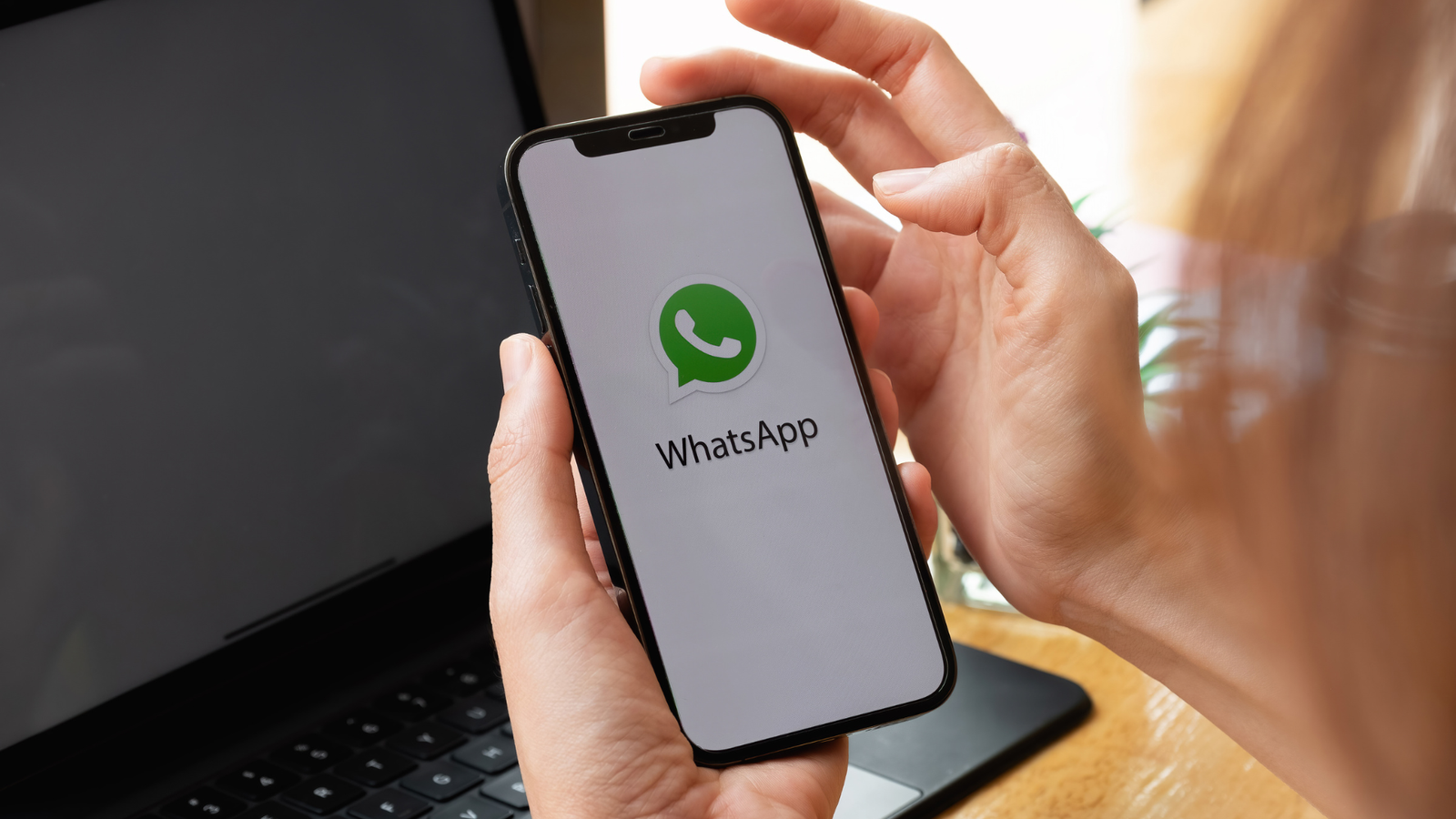 Leia mais sobre o artigo Como criar um bot para o WhatsApp? Confira!